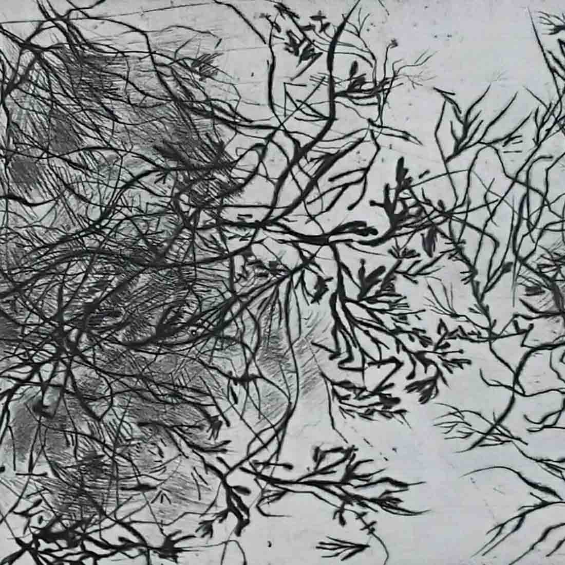 Roots Of A Tree Trunk 1