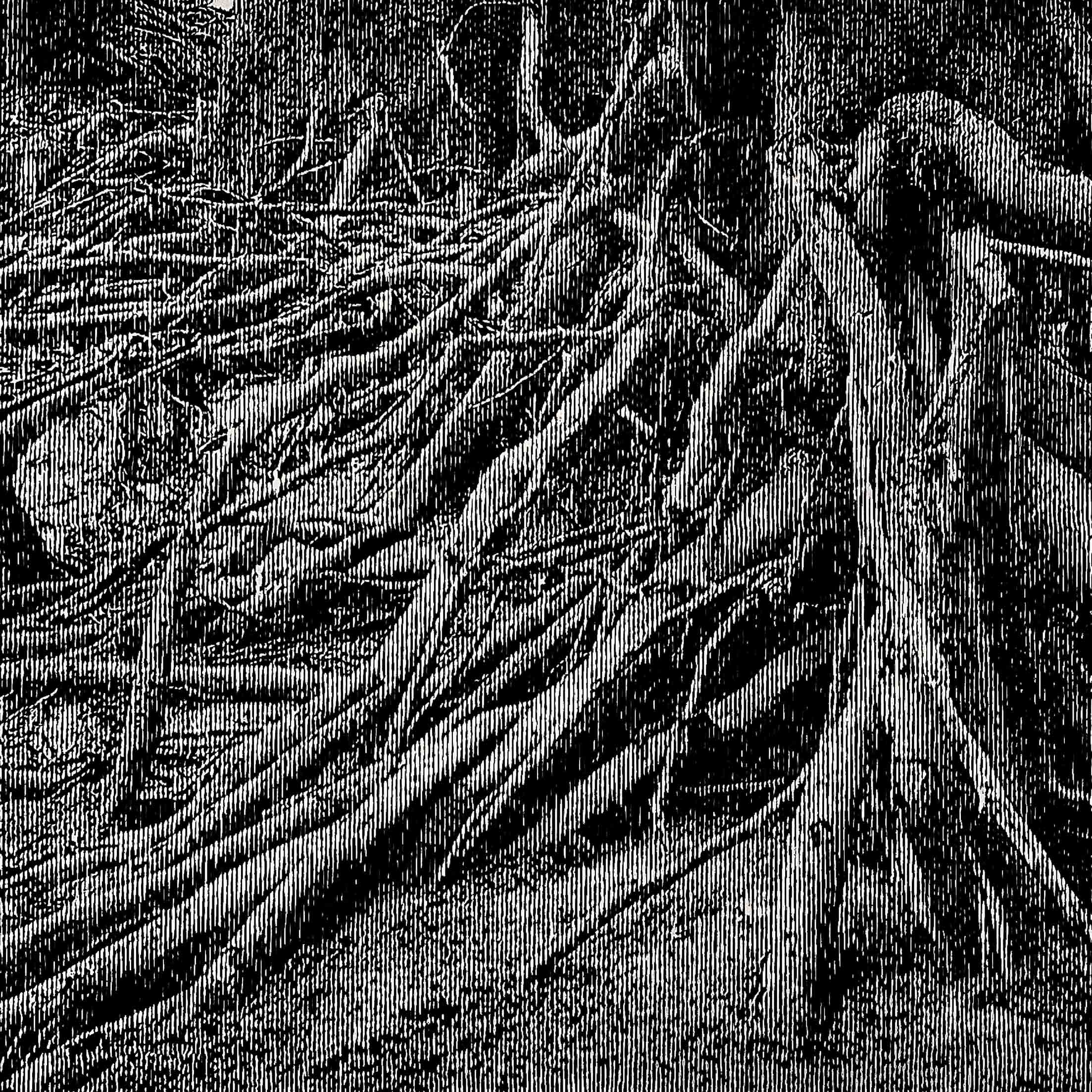 Roots 02