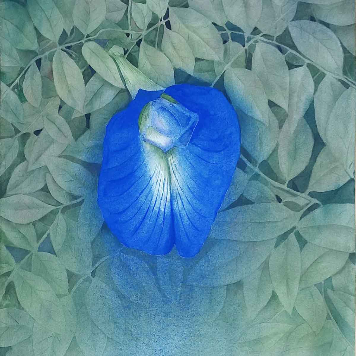Aparajita