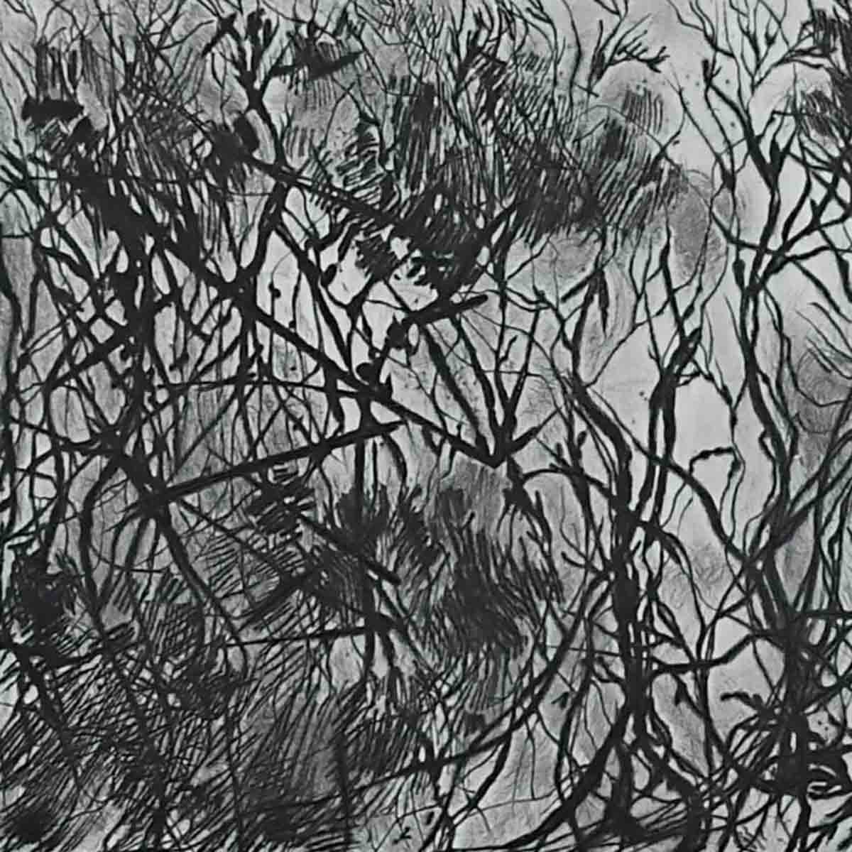 Roots Of A Tree Trunk 2