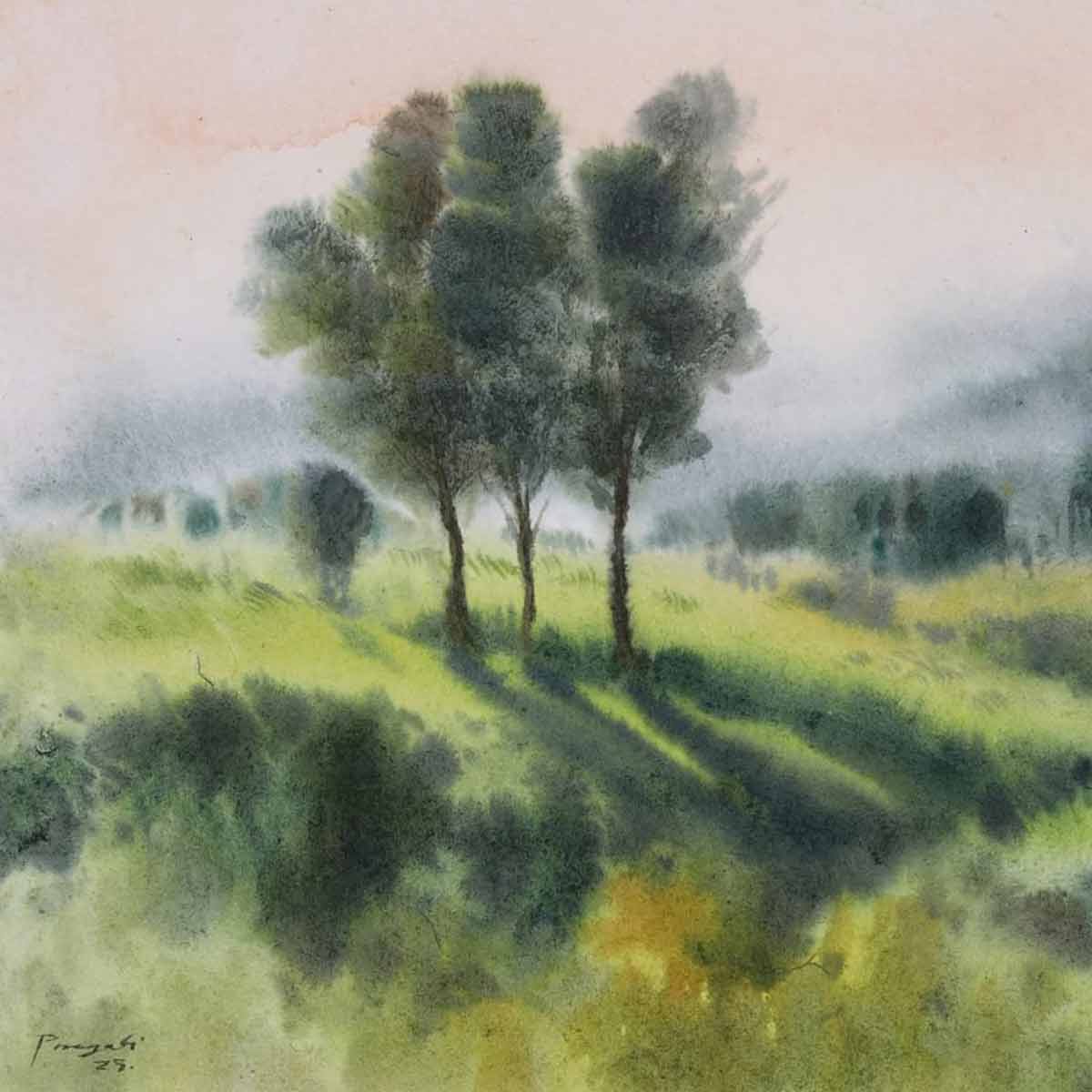 Morning Light