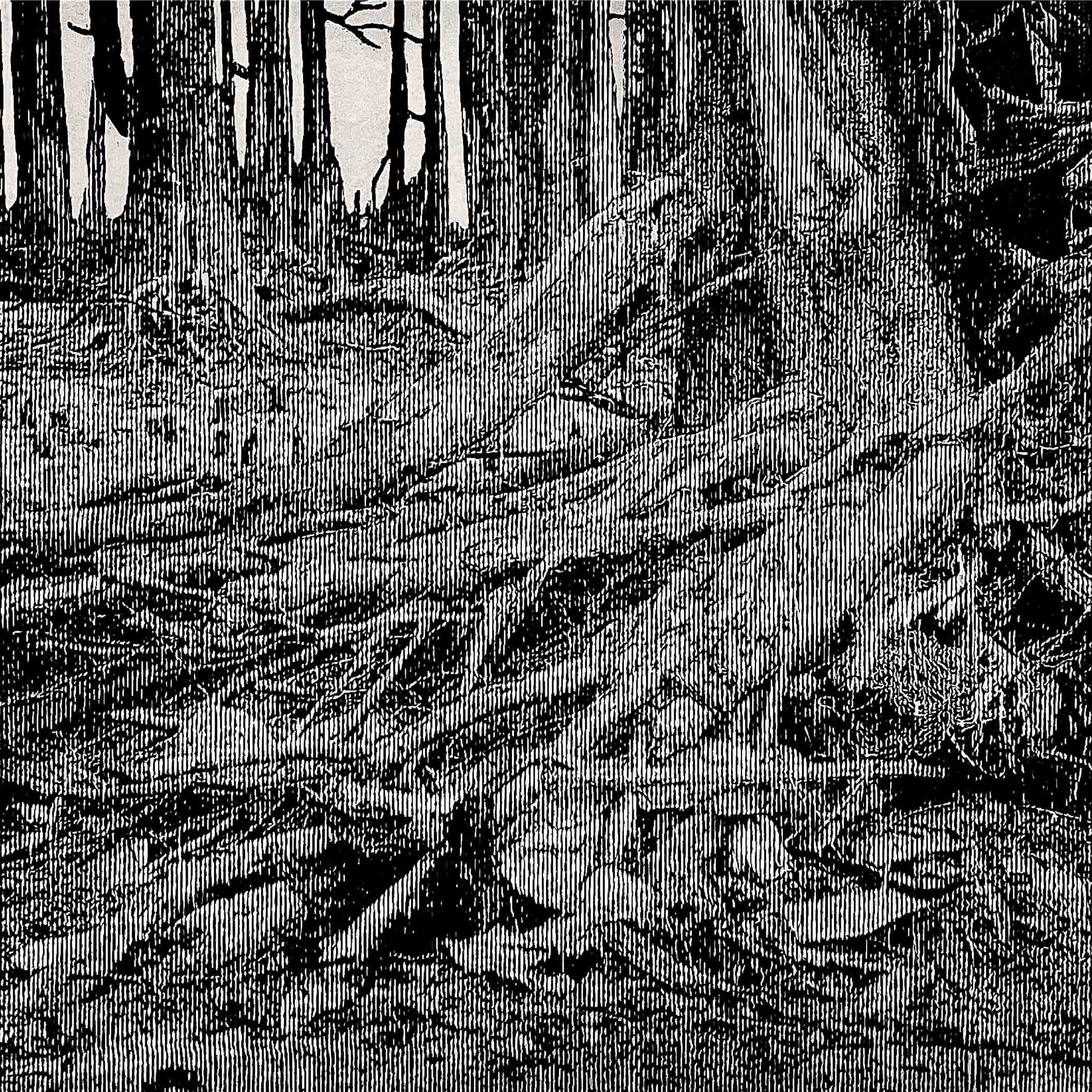 Roots 03