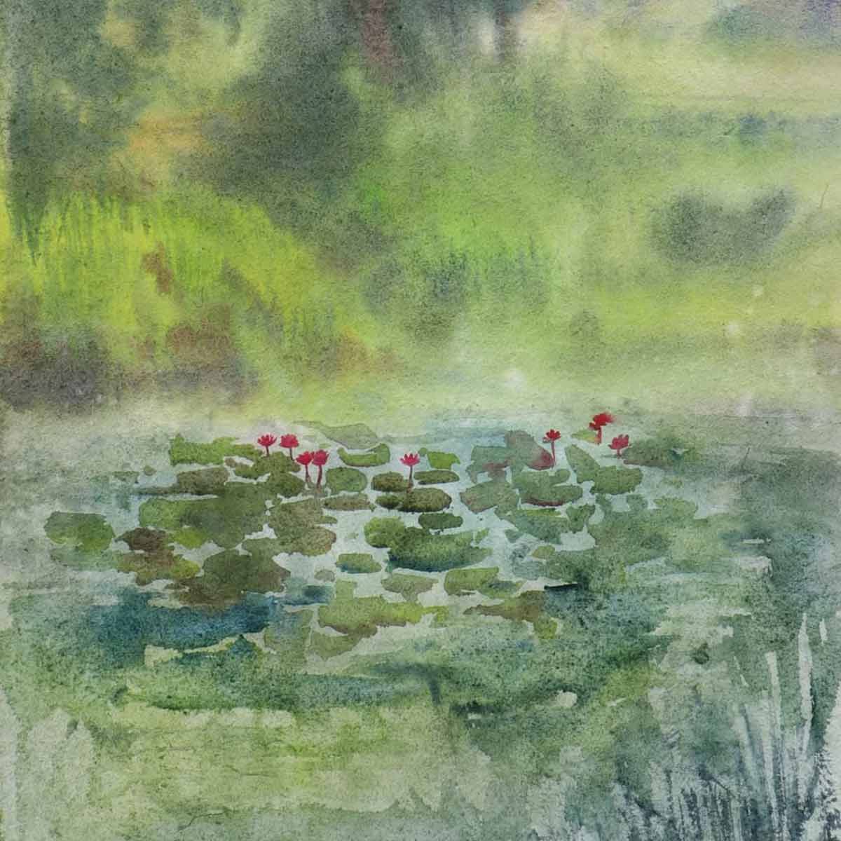 Water Lily Pond