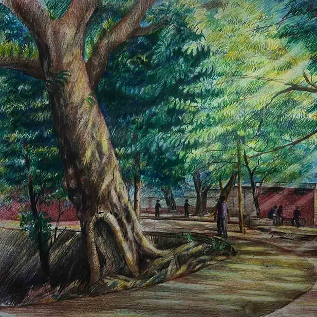Landscape