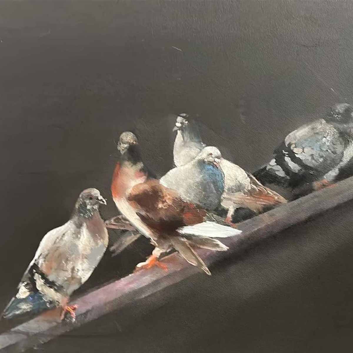 Pigeon