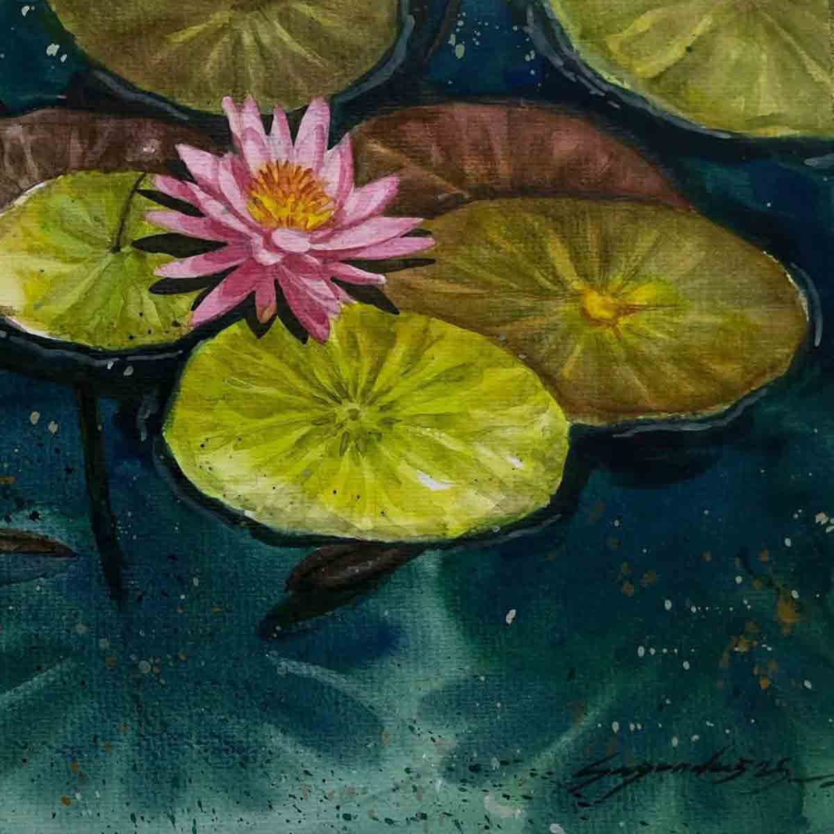 Water Lili