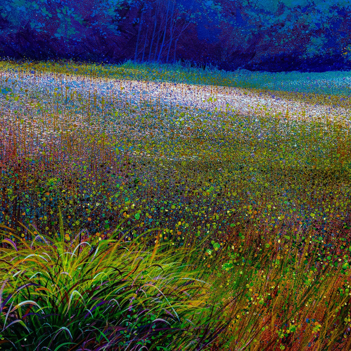 Dappled Silence
