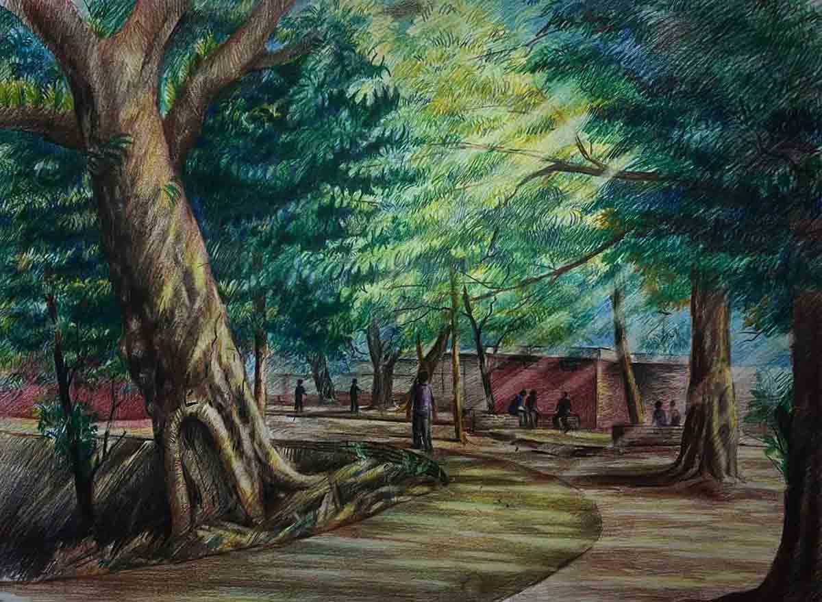 Landscape