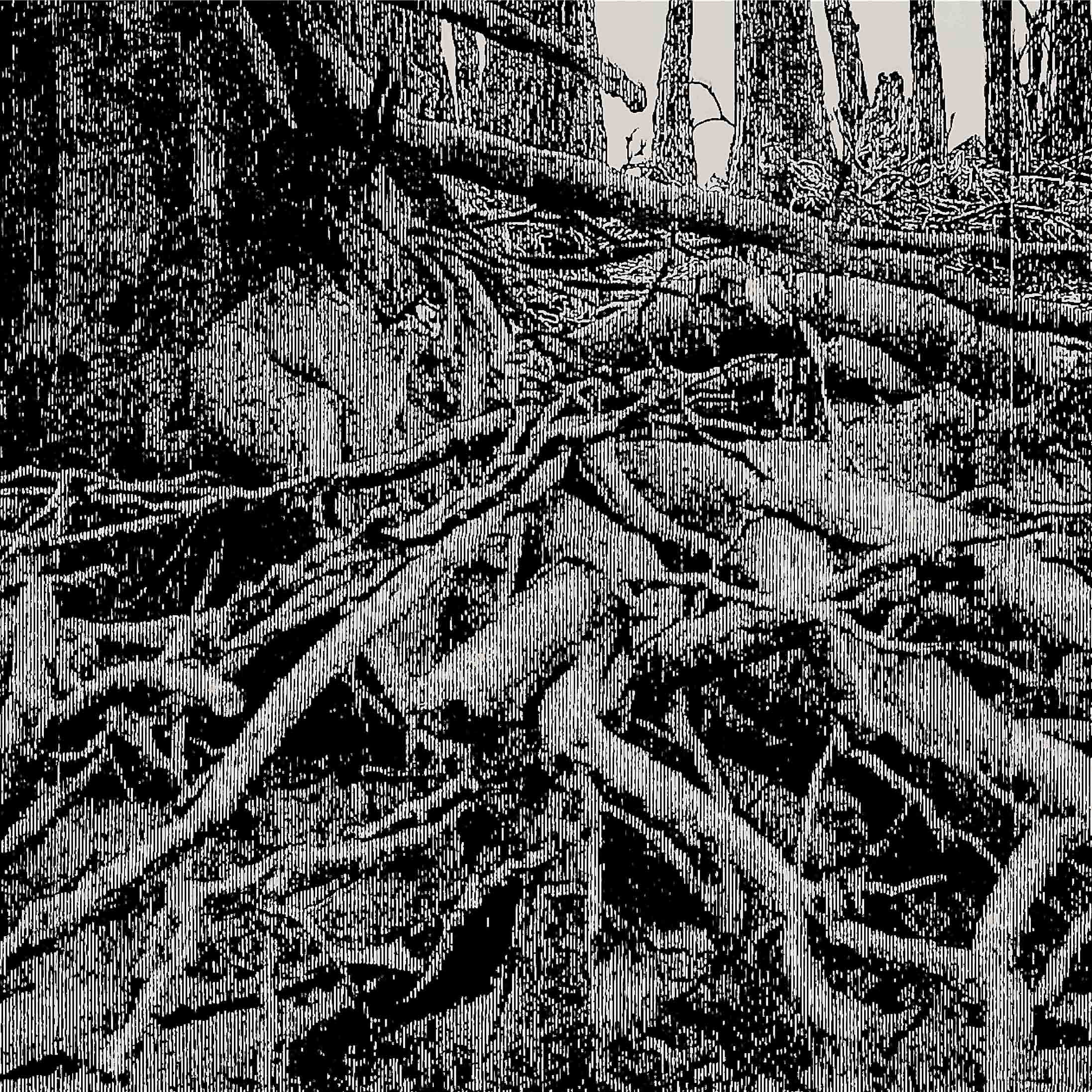 Roots