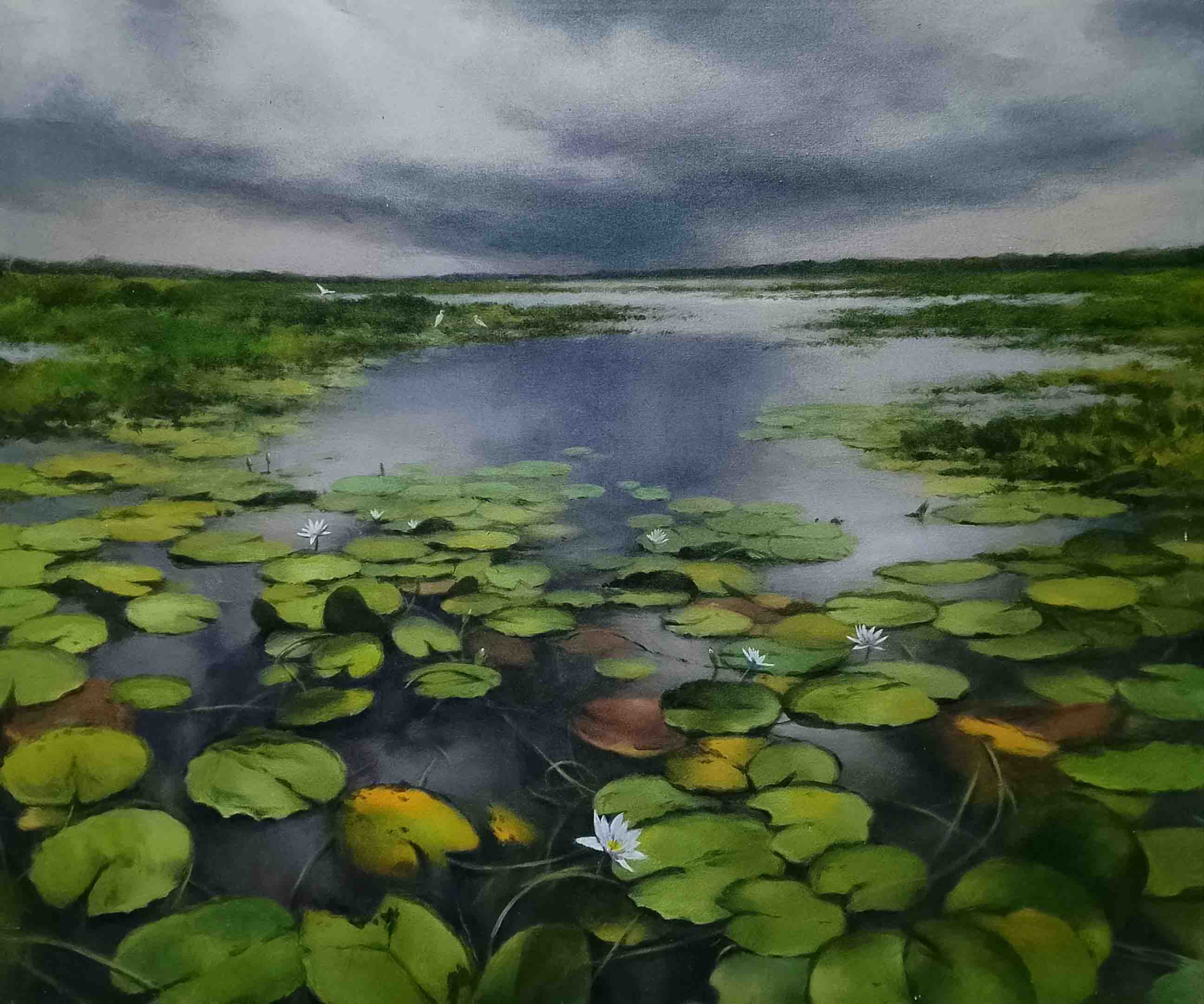 Monsoon Beauty