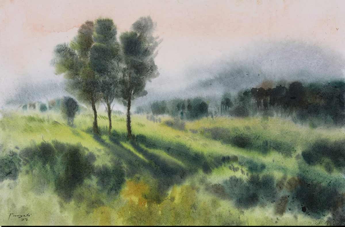 Morning Light