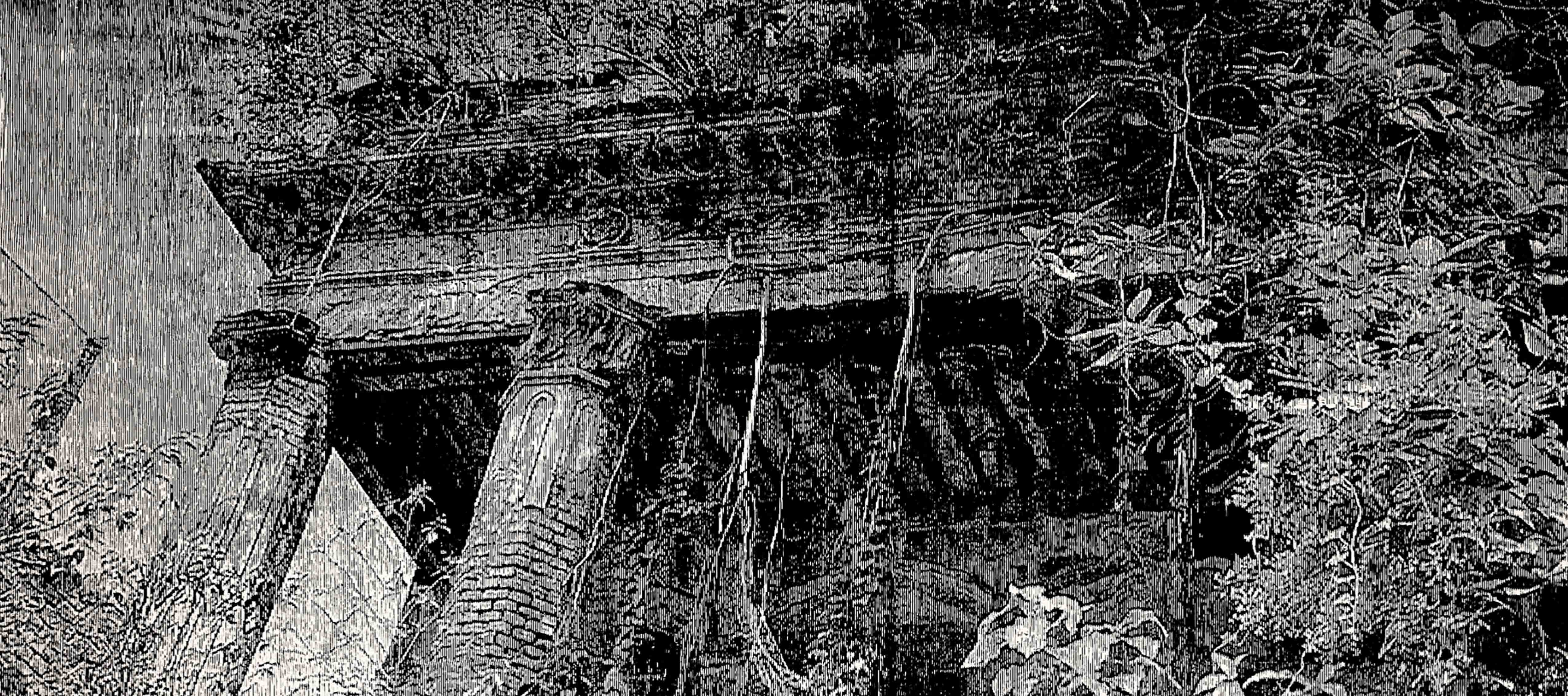 Old Dhaka Diaries : Relic Of Borobari ,The Grand Mansion Of Prosannababu