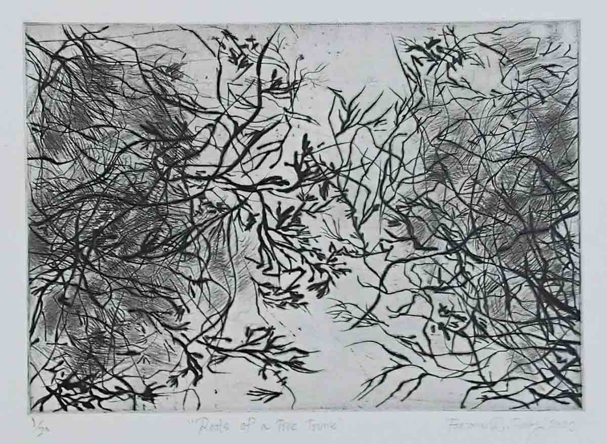 Roots Of A Tree Trunk 1