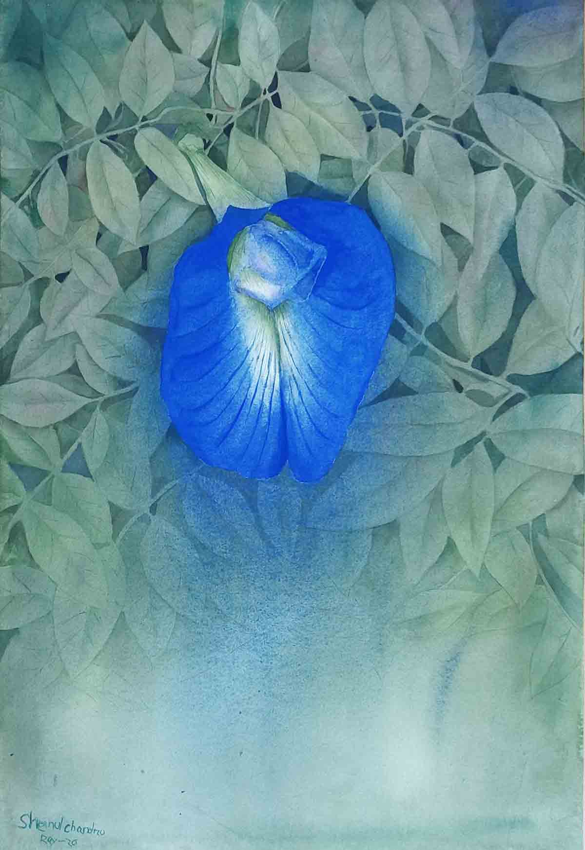Aparajita