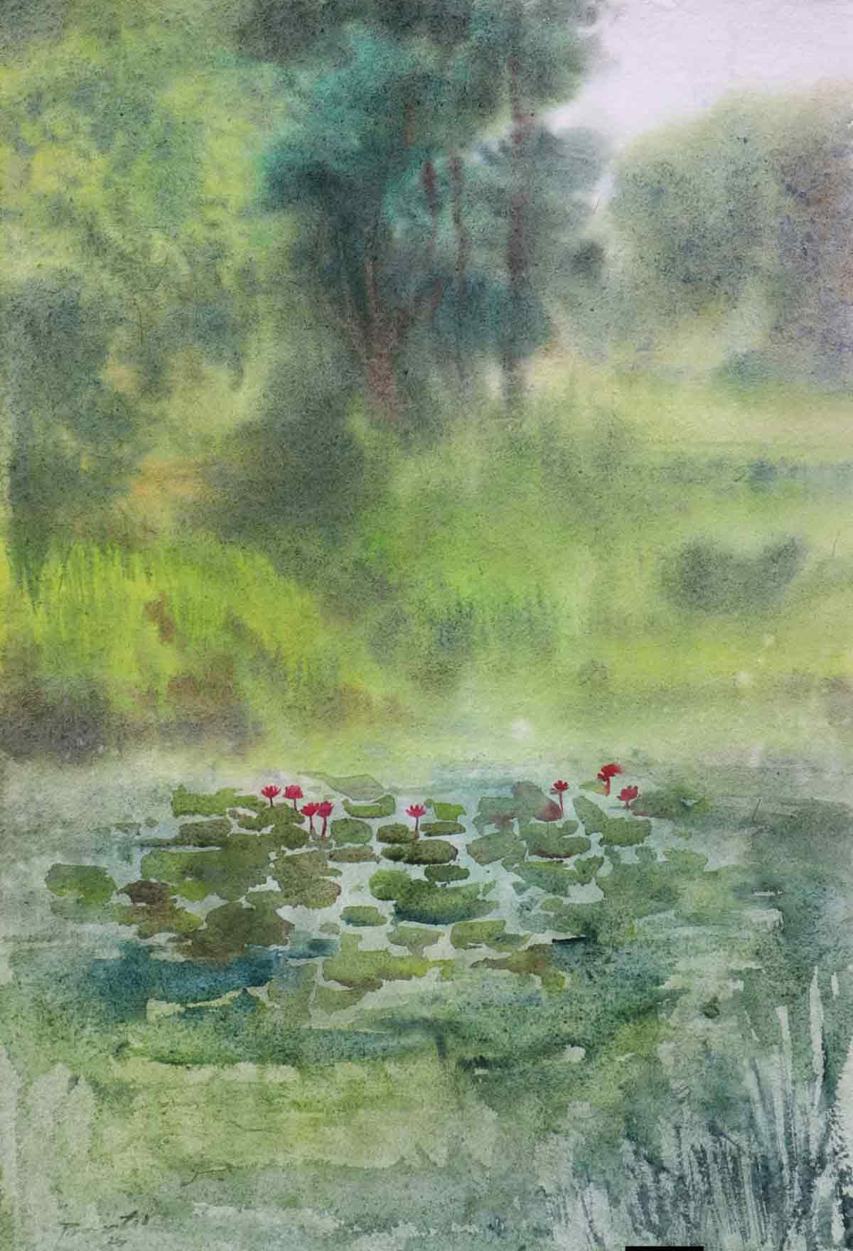 Water Lily Pond
